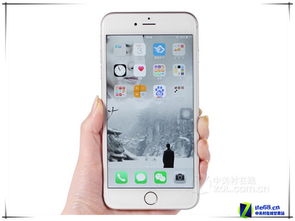 美版金色苹果iPhone 6 Plus仅售4869元，手机软件功能全解析
